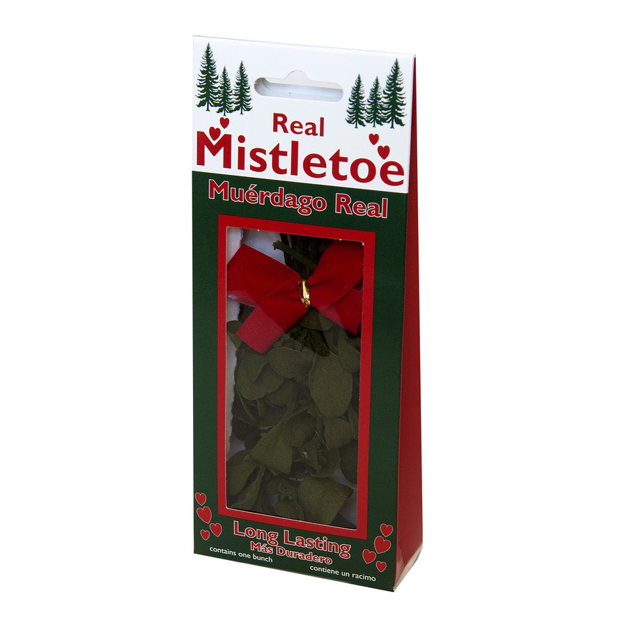 Fresh Christmas Mistletoe