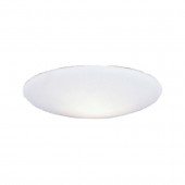10-in H 10-in W Opal Globe Ceiling Fan Light Shade