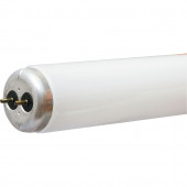 30-Pack 32-Watt 4,100K Cool White Fluorescent Tube Light Bulbs (Common: 48-in; Actual: 48-in)